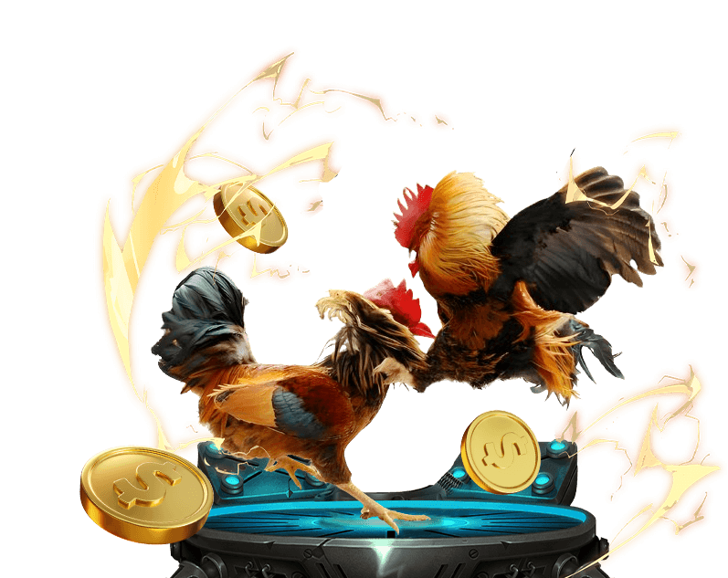 Đá gà trực tuyến Sun City 888