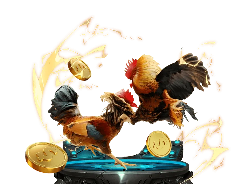 Đá gà trực tuyến Sun City 888